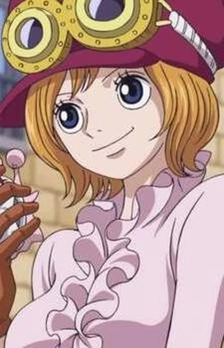 Koala from One Piece
