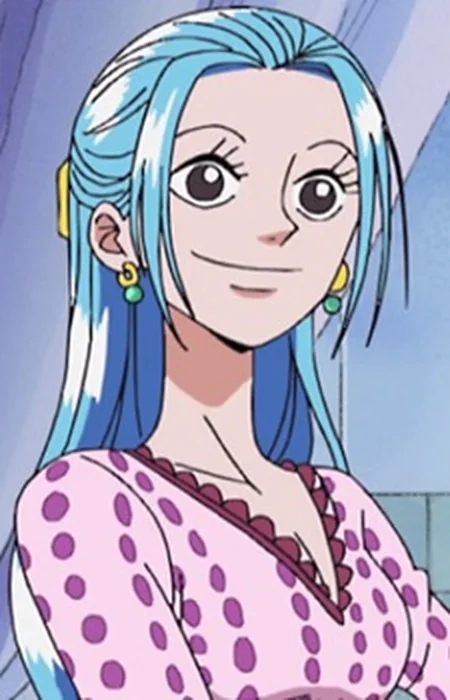 Vivi Nefertari from One Piece